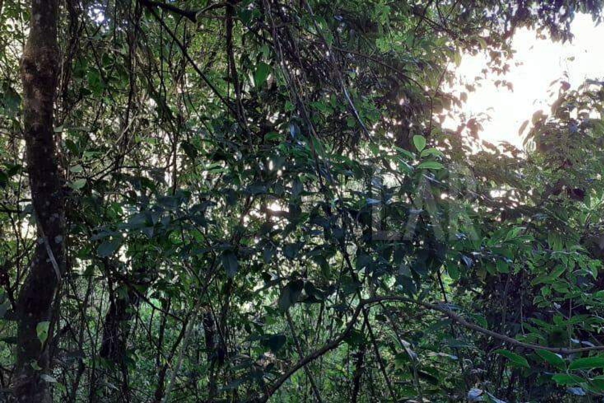 Lote - Terreno à venda, Nova Pampulha, Vespasiano - MG