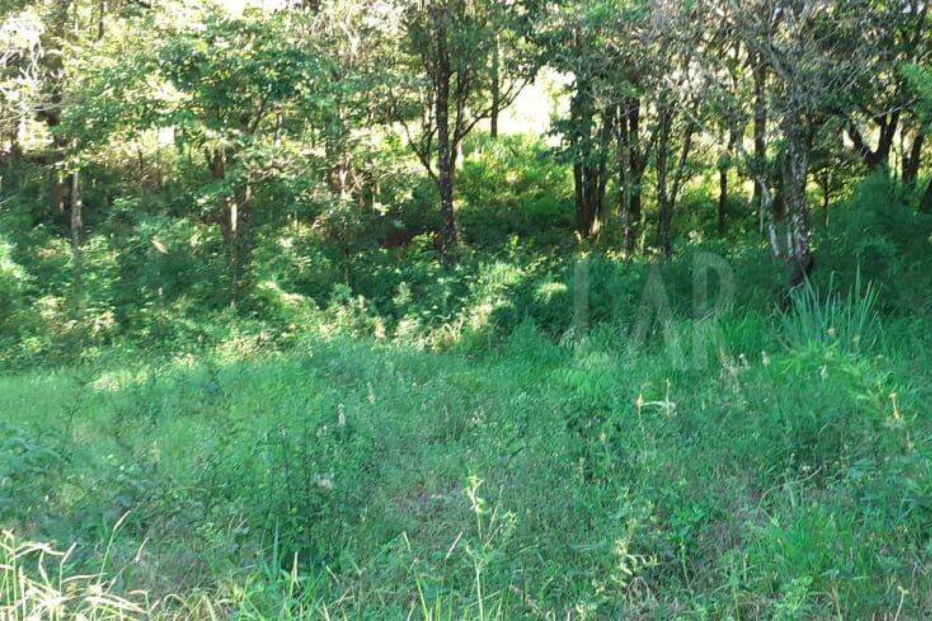 Lote - Terreno à venda, Nova Pampulha, Vespasiano - MG