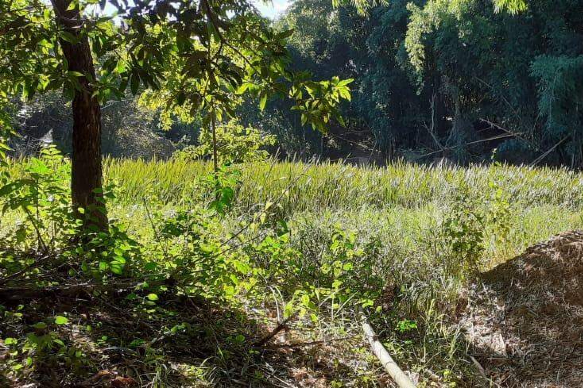Lote - Terreno à venda, Nova Pampulha, Vespasiano - MG