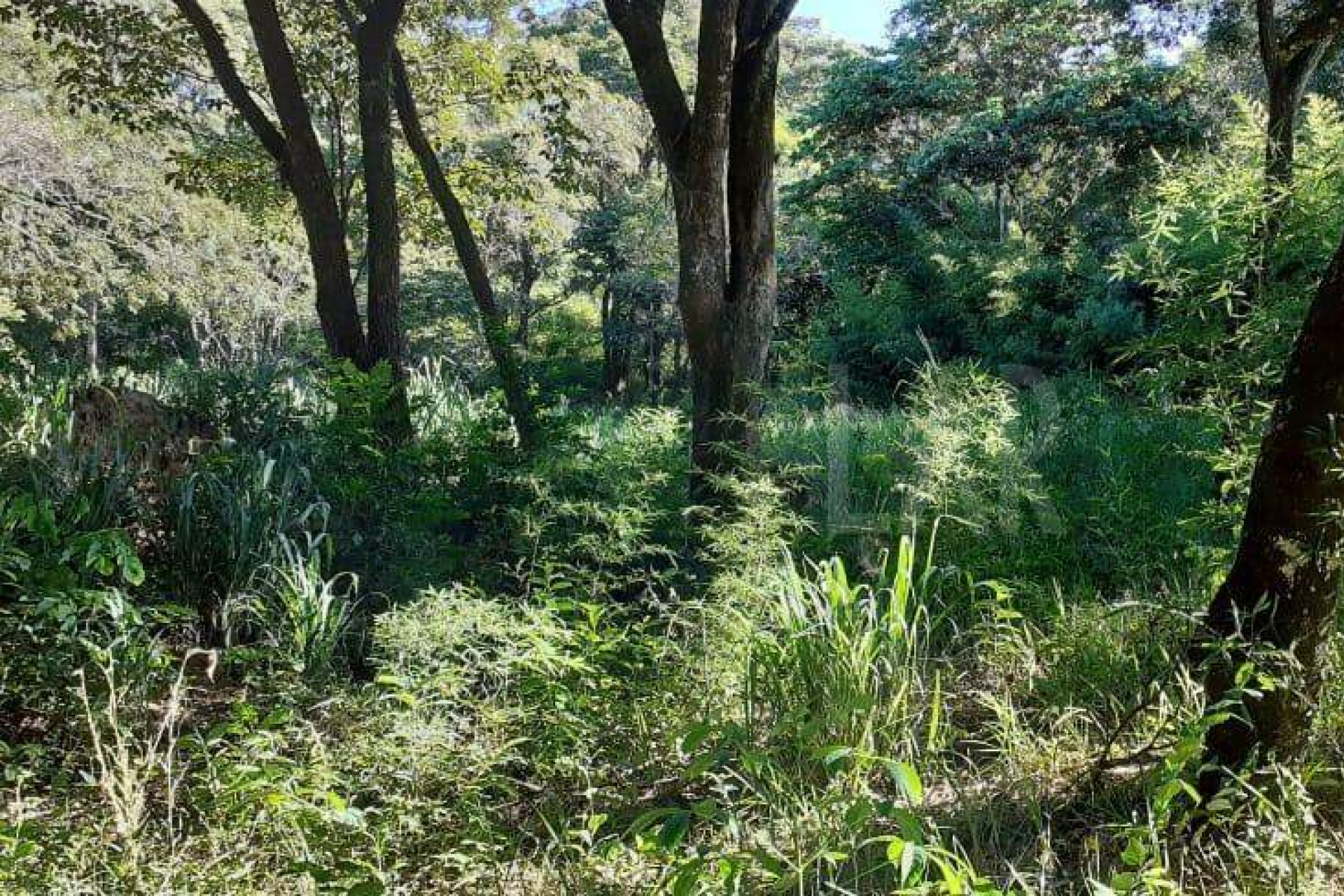 Lote - Terreno à venda, Nova Pampulha, Vespasiano - MG