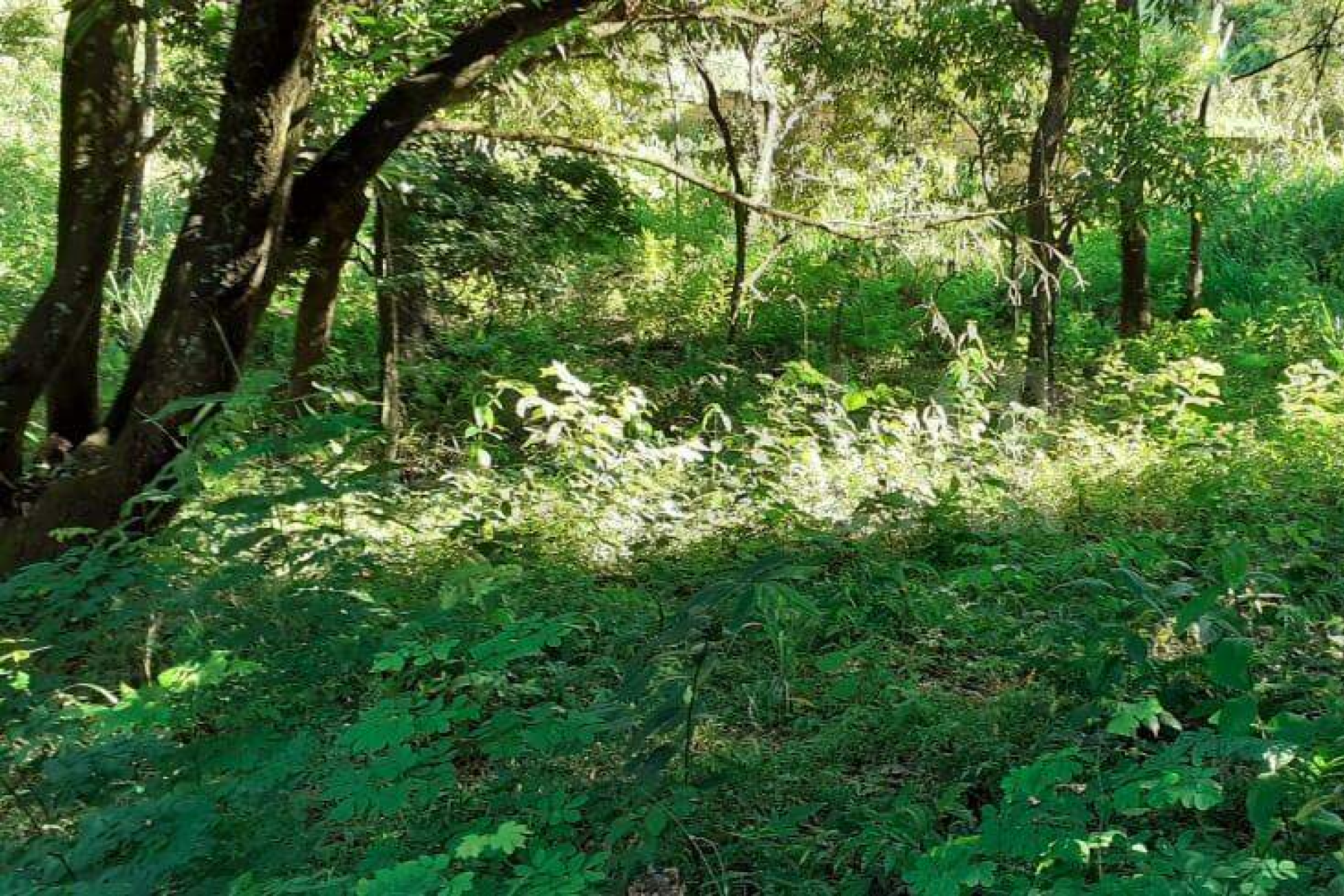 Lote - Terreno à venda, Nova Pampulha, Vespasiano - MG