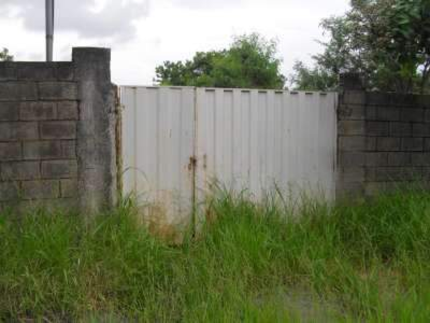 Lote - Terreno para alugar, Garças, Belo Horizonte - MG