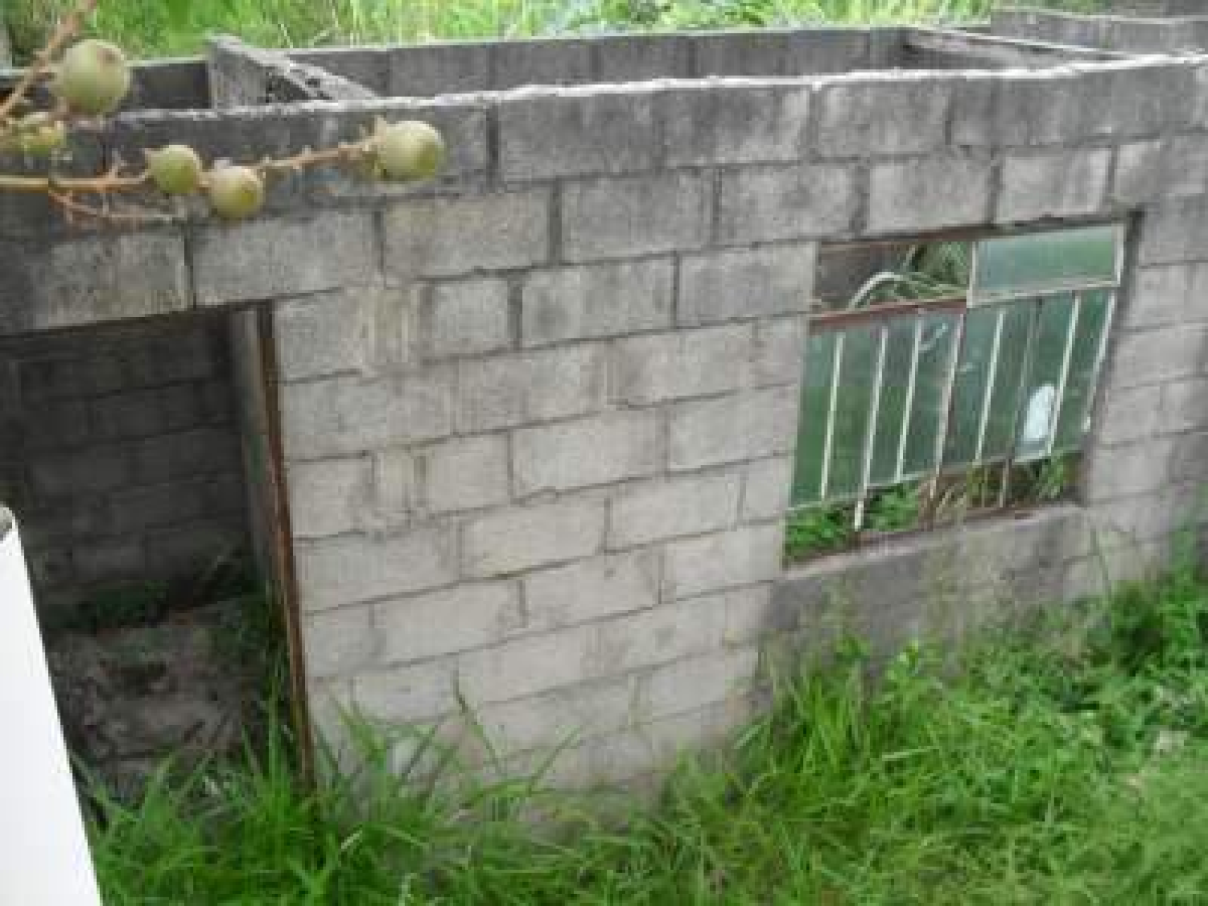 Lote - Terreno para alugar, Garças, Belo Horizonte - MG