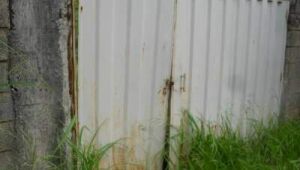 Lote - Terreno para alugar, Garças, Belo Horizonte - MG
