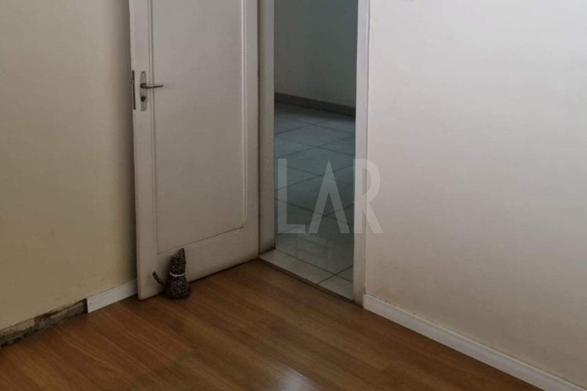 Casa de 4 quartos à venda, Padre Eustáquio, Belo Horizonte - MG