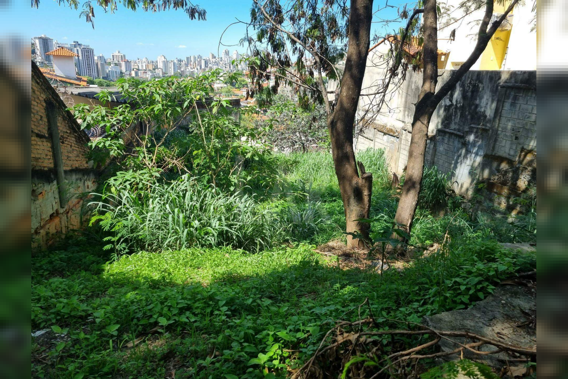 Lote - Terreno à venda, São Bento, Belo Horizonte - MG
