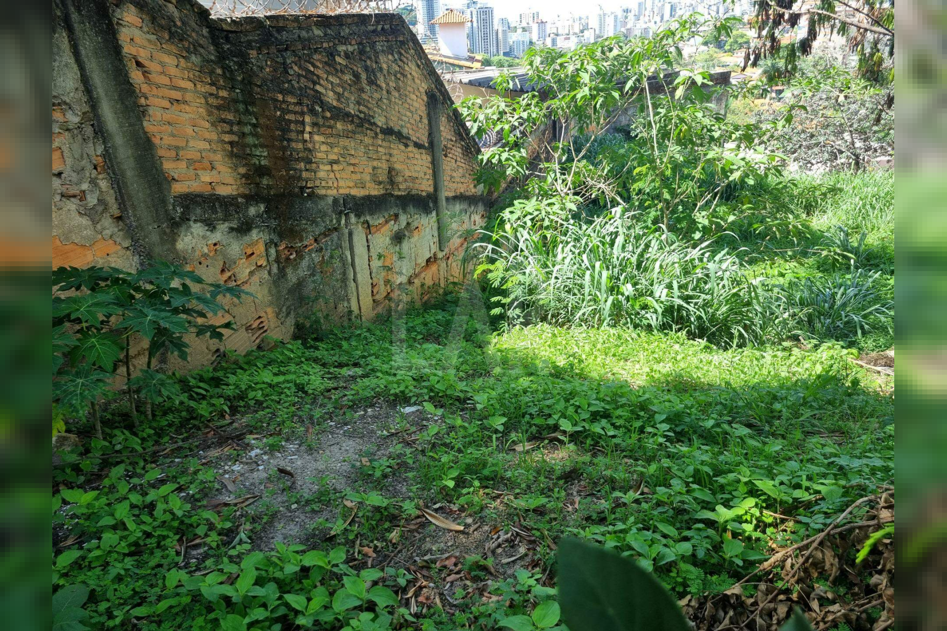Lote - Terreno à venda, São Bento, Belo Horizonte - MG