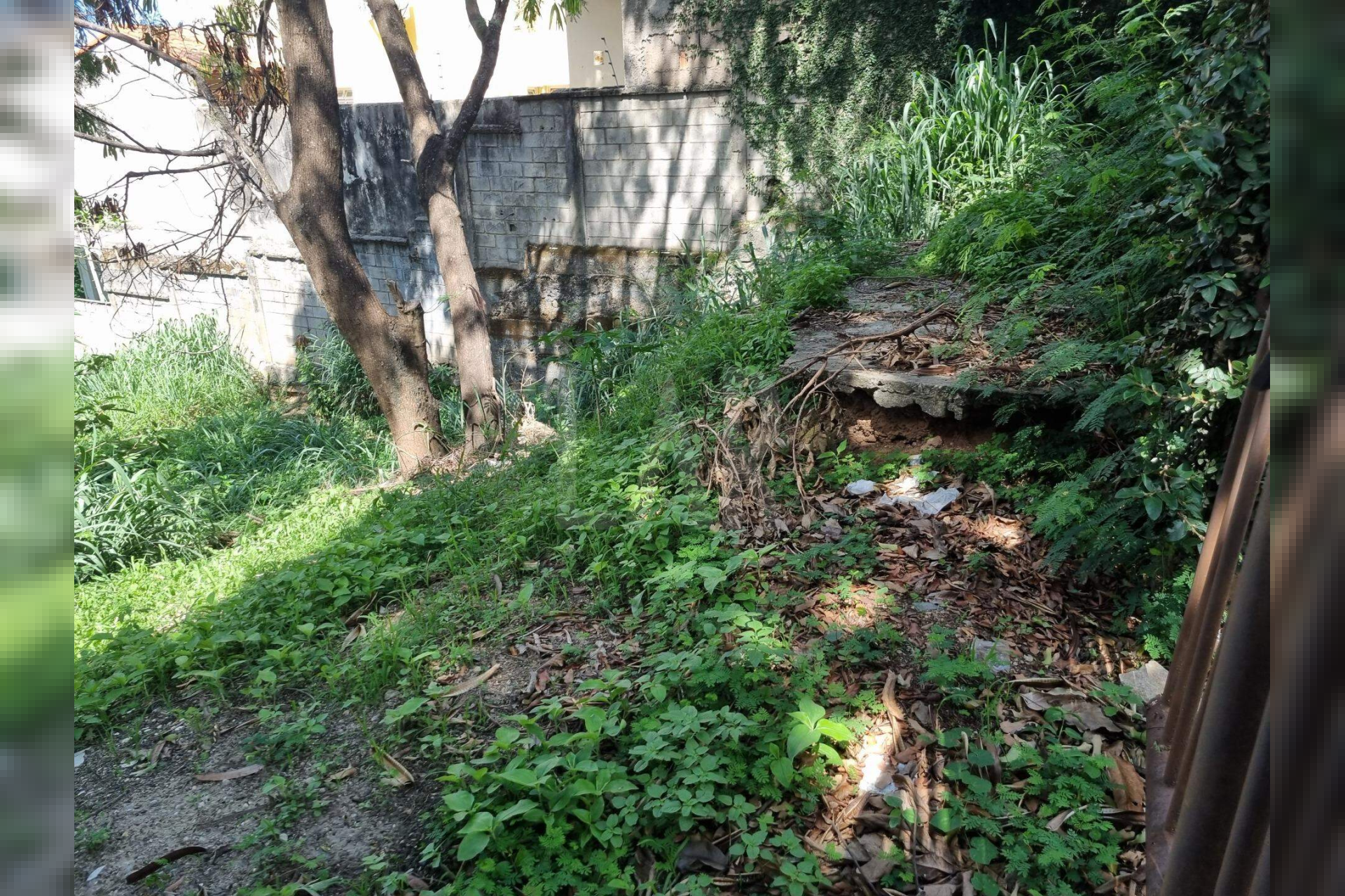 Lote - Terreno à venda, São Bento, Belo Horizonte - MG