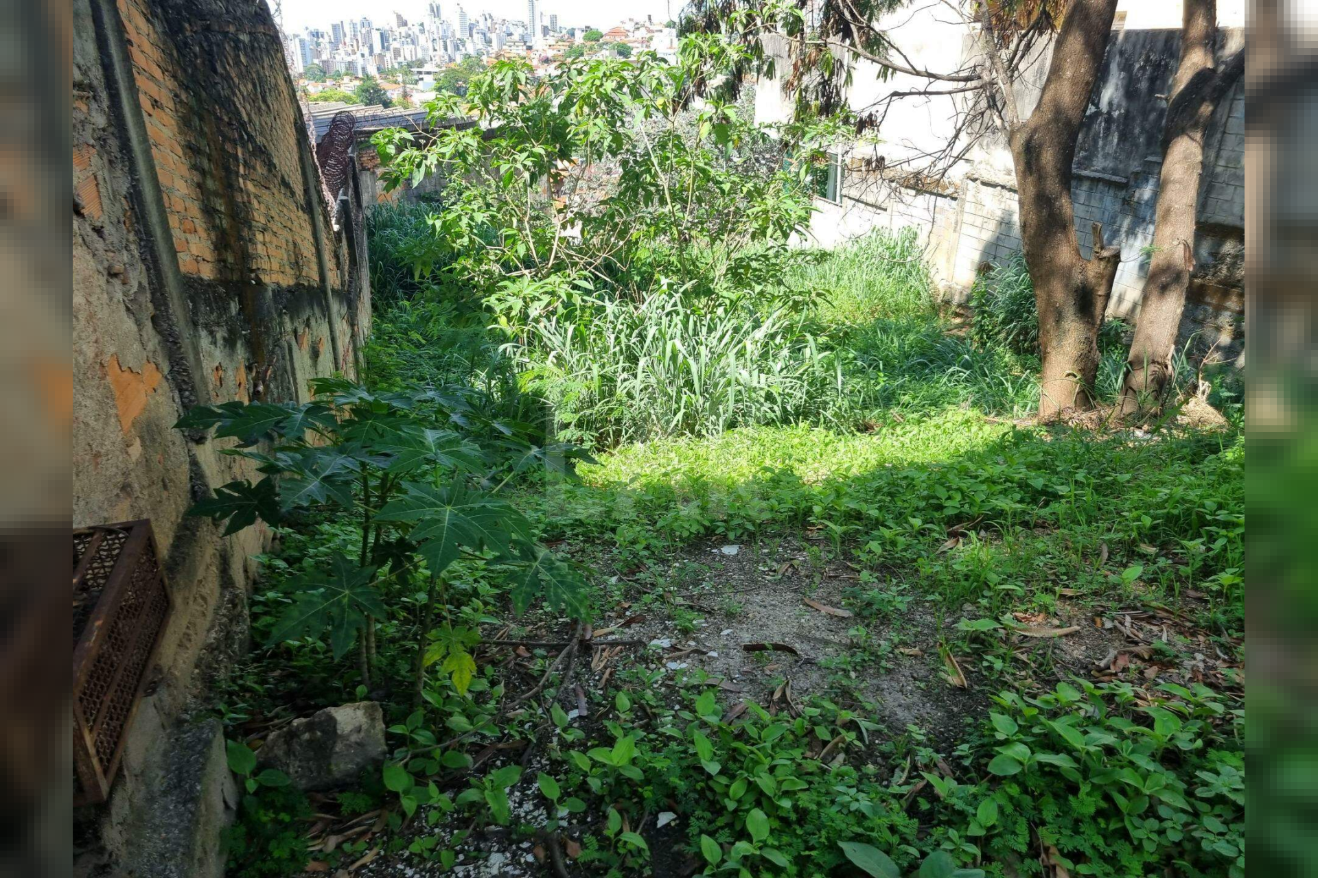 Lote - Terreno à venda, São Bento, Belo Horizonte - MG