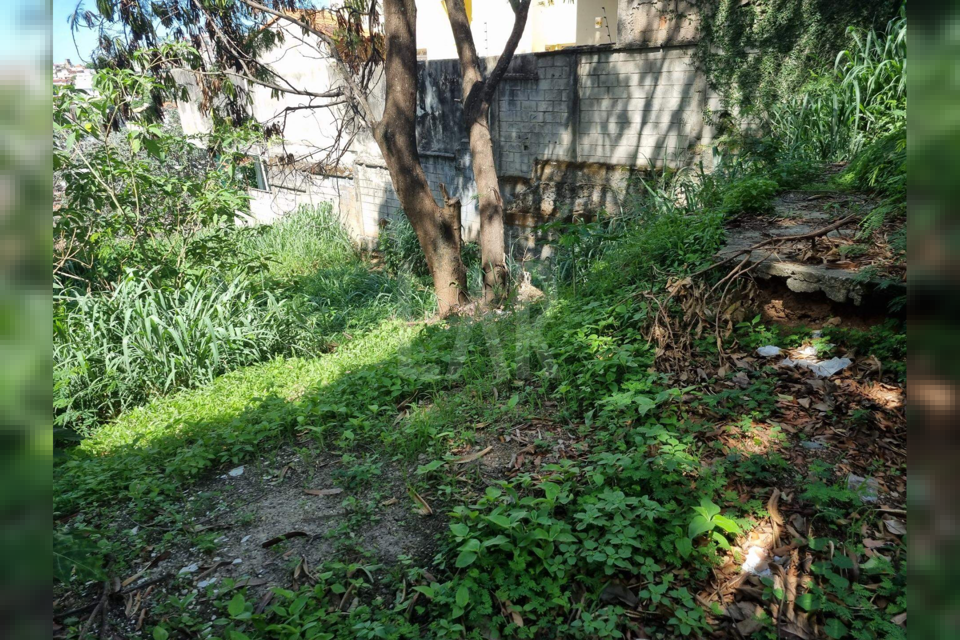 Lote - Terreno à venda, São Bento, Belo Horizonte - MG