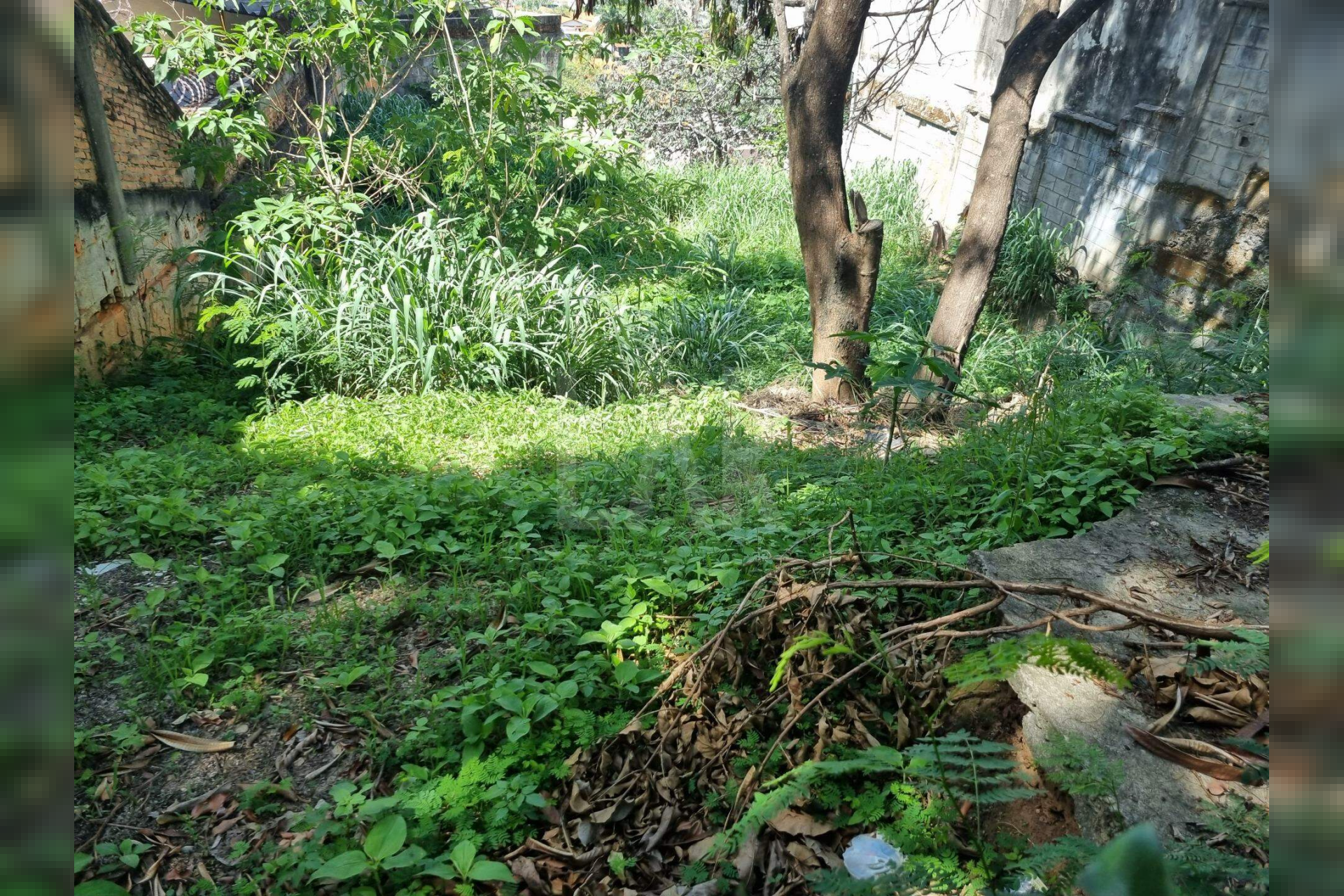Lote - Terreno à venda, São Bento, Belo Horizonte - MG