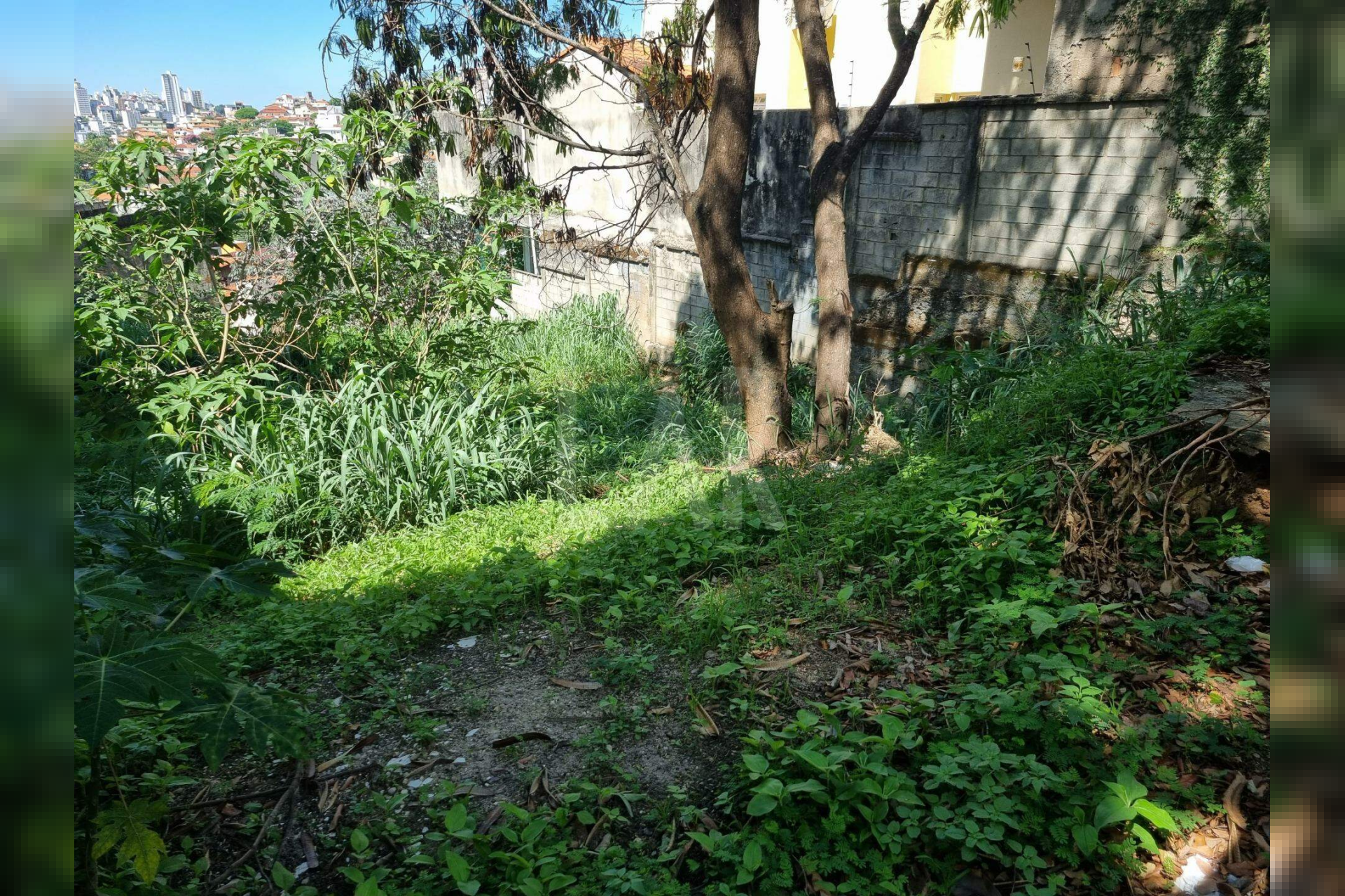 Lote - Terreno à venda, São Bento, Belo Horizonte - MG