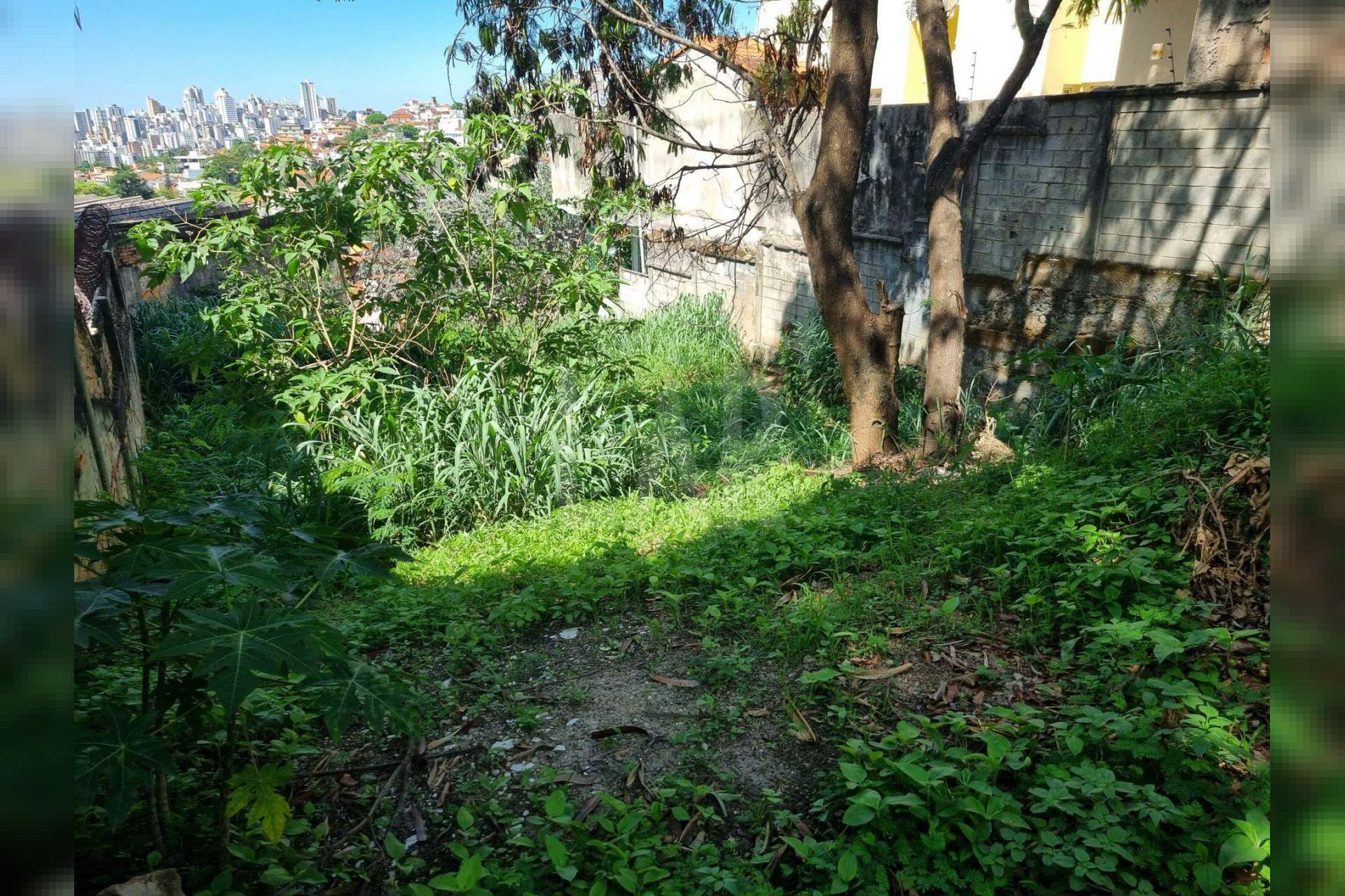 Lote - Terreno à venda, São Bento, Belo Horizonte - MG