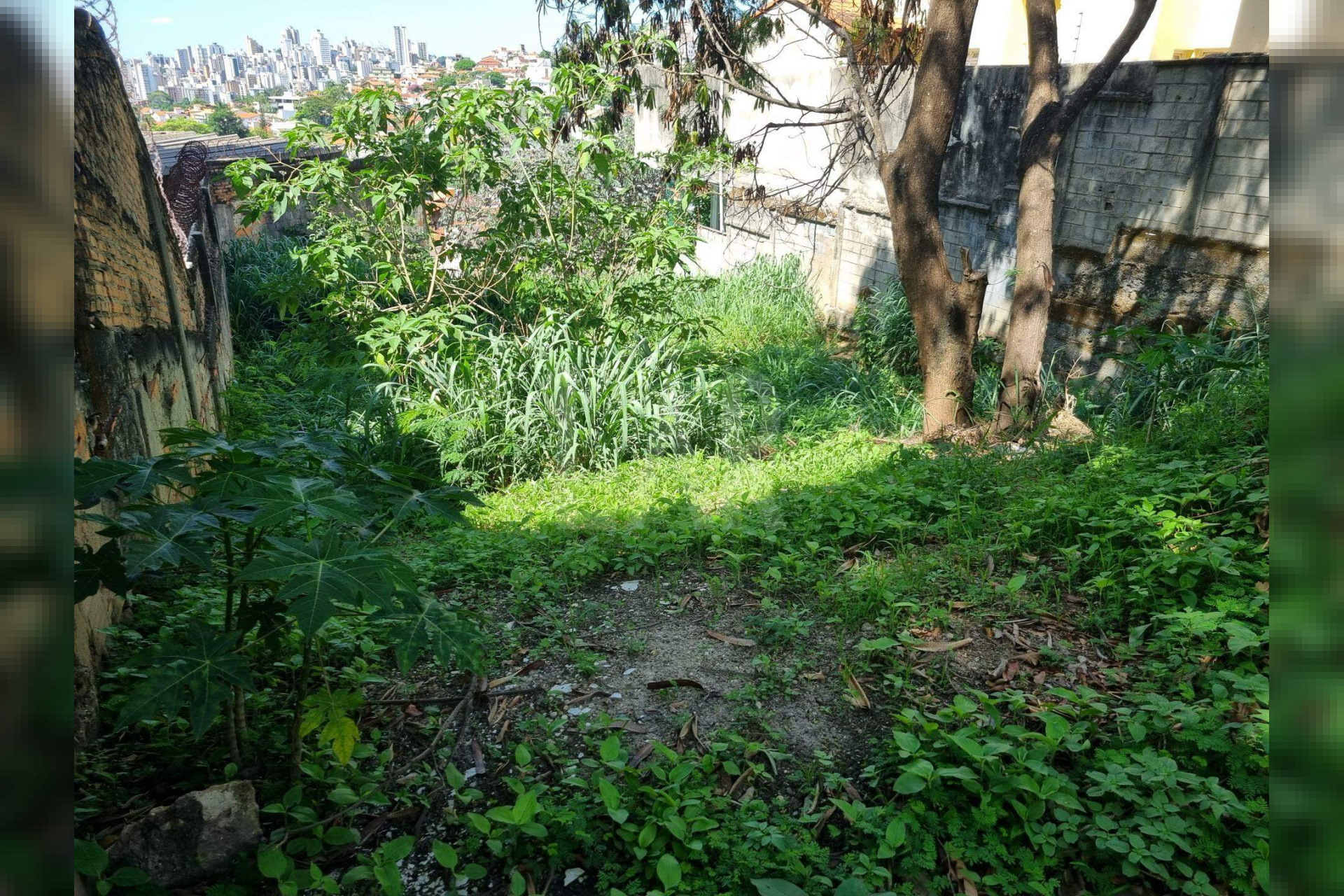 Lote - Terreno à venda, São Bento, Belo Horizonte - MG